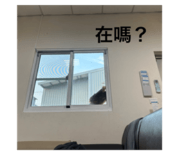 628182169