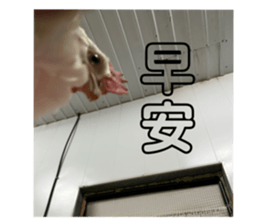 628182175