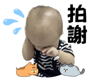 628182594