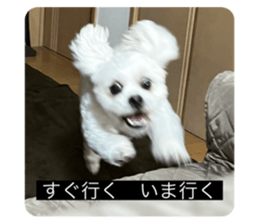 628191880