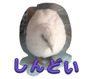 628192510
