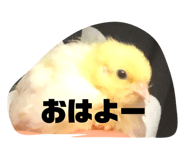 628192514