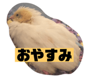 628192515