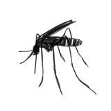 628193206