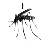 628193207