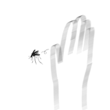 628193211