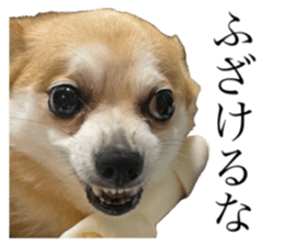 628193306
