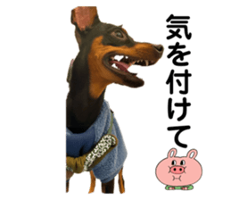 628214753