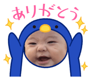 628231029