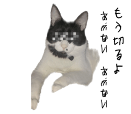 628231718