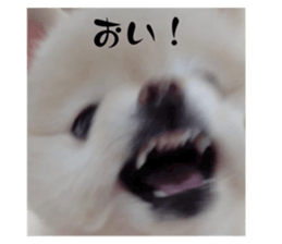 628308658