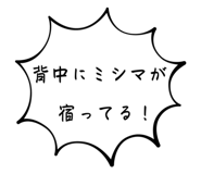 628320331