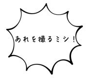 628320335