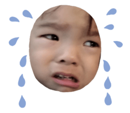 628353401