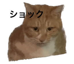 628354901