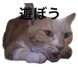 628354911