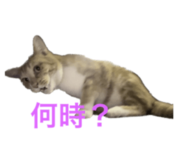 628354913