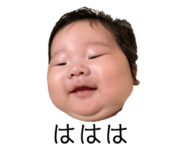 628355954