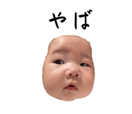 628355955