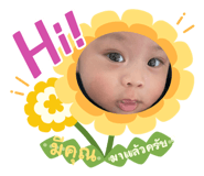 628372704