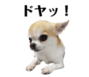 628396803