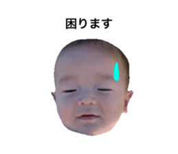 628405075