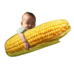 628405109
