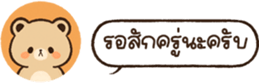 628451554
