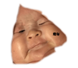 628475341