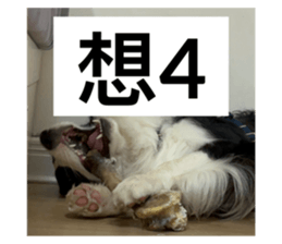 628486408