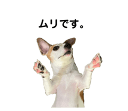 628519773