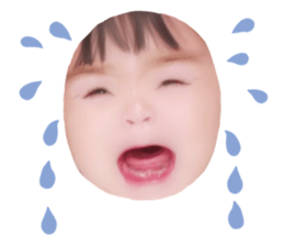 628525544