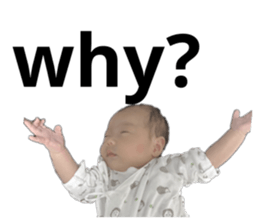 628527913