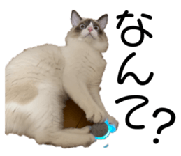 628535802