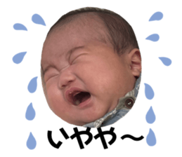 628537374