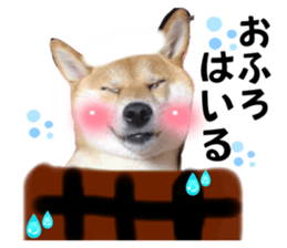 628537821