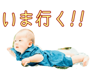 628537991