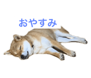 628542039