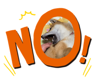 628542046