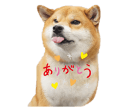 628542049