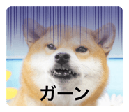 628542050