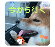 628542056