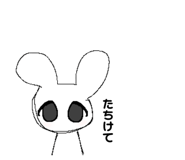 628574224
