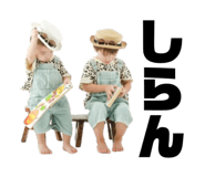 628643238
