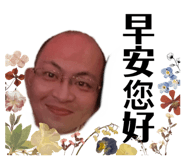 628655253