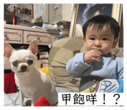 628657227