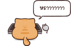 628681826