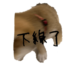 628737100