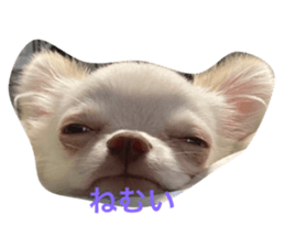 628750291