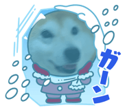 628771963